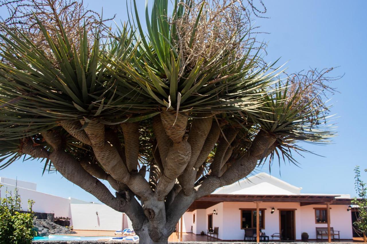 Casa Lola Lanzarote Piscina Climatizada Y Wifi Free Villa San Bartolome  Exterior photo
